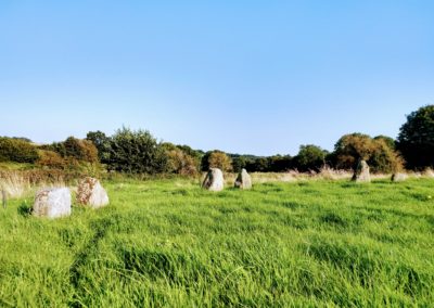 medicine wheel